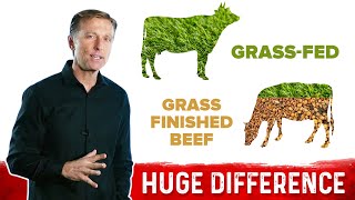 GrassFed vs GrassFinished Beef Big Difference [upl. by Ramej]