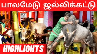 Highlights Of Palamedu Jallikattu 2023  பாலமேடு ஜல்லிக்கட்டு  Vikatan [upl. by Areik599]