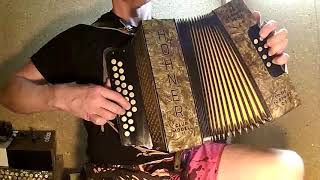 Despacito  diatonic accordion cover [upl. by Alrich]