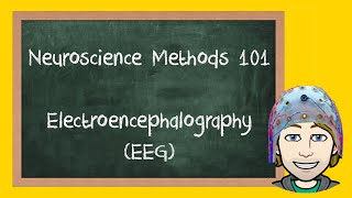 Electroencephalography EEG Explained  Neuroscience Methods 101 [upl. by Atoiganap]