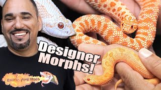 Rare Hognose Snake Morphs Thatll Blow Your Mind [upl. by Neil]