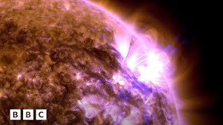 Watch the spectacular solar flares causing the aurora  BBC Global [upl. by Idihsar]