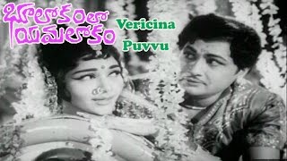 Bhulokamlo Yamalokam Telugu Movie Songs  Vericina Puvvu Song  Kantha Rao  Rajshree [upl. by Mikel]