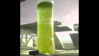 Algae Culturing Nannocloropsis Oculata [upl. by Robin891]