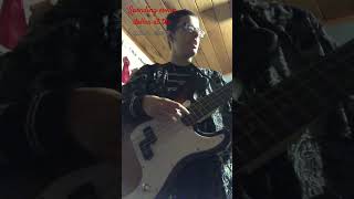 The Bidding by tallyhall short bass cover [upl. by Neeoma959]