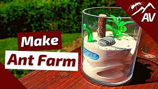 How to Build an Ant Farm  Compact Plaster Formicarium [upl. by Ziguard]