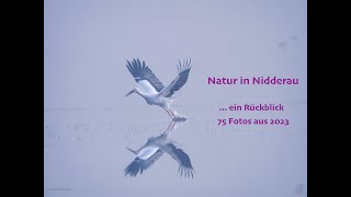 Natur in Nidderau  ein Rückblick auf das Jahr 2023 in 75 Fotos mit musikalischer Untermalung [upl. by Lleruj]