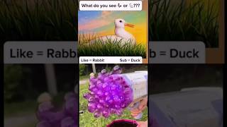 Rabbit 🐇 or duck 🦆illusion short trending 🤔 🤔 [upl. by Barboza]