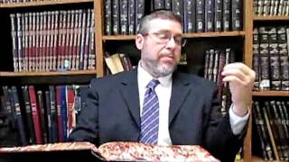 Sanhedrin 15 Rabbi Daniel Korobkin Audio File 2017 07 31 [upl. by Eremaj29]