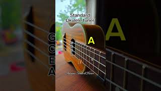 Your Standard Ukulele Tuner [upl. by Eanel]