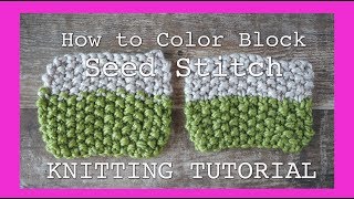 Knitting for Beginners  How to Knit Seed Stitch  color blocking  knitting tutorial [upl. by Alistair]