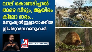 ഉപദ്രവിക്കില്ല എന്നിട്ടും കൊന്നൊടുക്കി മനുഷ്യന്‍ ഇല്ലാതാക്കിയ മറ്റൊരു ജീവി [upl. by Coppins]