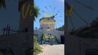 Best winery in Datca Turkey You absolutely shouldn’t skip🍷 wine winery vineyard turkey datça [upl. by Krakow]