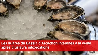 Les huîtres du Bassin d’Arcachon interdites à la vente après plusieurs intoxications [upl. by Blisse606]