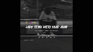 JADO TENU MERI YAAD AUNI full song [upl. by Holland]