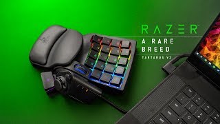 Is This Gaming Keypad Perfect or Pointless Razer Tartarus v2 [upl. by Helfant]