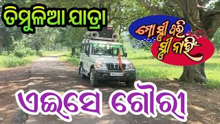 Timulia Jatra Prachar  Gouri gananatya  Odia jatra [upl. by Leeke]