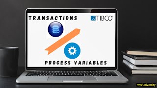 Transaction Group and Process Variables in TIBCO BusinessWorks 6 By Box3 Learning Solutions [upl. by Ivel]