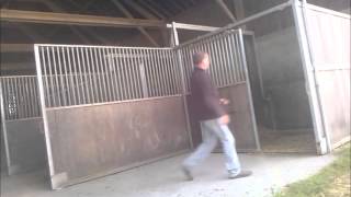 Comment faire 10 boxes de chevaux en trois quart dheure [upl. by Akapol]