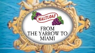 From the Yarrow to Miami [upl. by Ueik]