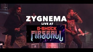 Zygnema Live at Fireball 2019 Guwahati [upl. by Birgit]