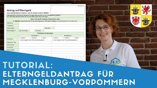 ▶ Elterngeldantrag für MecklenburgVorpommern ausfüllen  Tipps [upl. by Hillel]