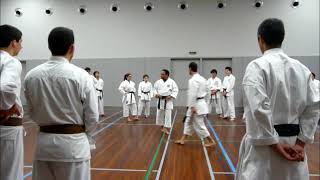 Kata Niseishi amp Bunkai [upl. by Notsirhc]