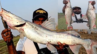 Big Sangara Tengara Fish Fishing Techniques  Wallago Attu Fishing  Ahtesham khan Fishing [upl. by Ellehcit]