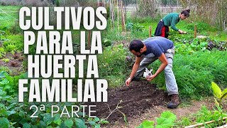 Cultivos para la huerta familiar segunda parte [upl. by Maibach]