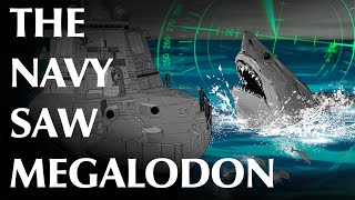 USN Petty Officer and Others Report Megalodon Sightings [upl. by Lebisor240]