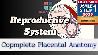 Placental Structure in HINDIURDUEmbryology part 3USMLE step 1FCPS1umbilicalcord [upl. by Ainad]