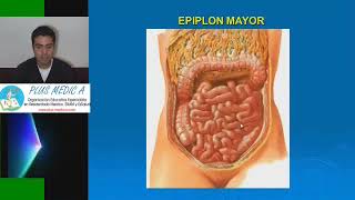 Peritoneo y Cavidad Peritoneal [upl. by Arebma]