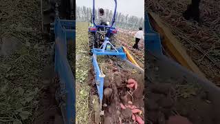 Sweet Potato Deep Tillage Harvesting Process infinitecraft infinite handmade craft [upl. by Alic]