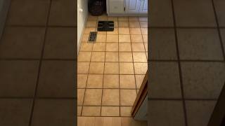 ITILE Guest bathroom walkthrough part 2 [upl. by Wareing]