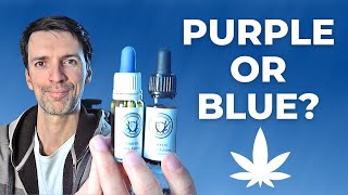 CBD Brothers Blue vs Purple Edition Oil Review and Experiences with Insomnia Fatigue amp Digestion [upl. by Ariaz]