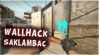 SAKLAMBAÇ WALLHACK İLE EKİBİ TROLLEDİM  ÇILDIRDILAR CSGO [upl. by Goodill]