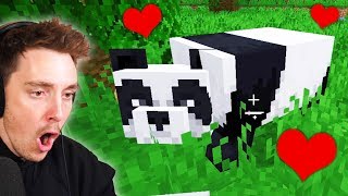 I tamed a PANDA in Minecraft part 9 [upl. by Whitver473]