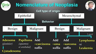 Patho Minutes Nomenclature of Neoplasia [upl. by Nalepka]