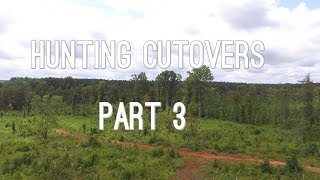 Hunting Cutover part 3 [upl. by Noseaj]