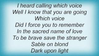 Stevie Nicks  Sable On Blonde Lyrics [upl. by Besnard]