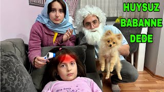 ZEYNEP HİRANUR HASTA HUYSUZ BABANNE DEDE GELMİŞ YANDIK pomeranian [upl. by Renfred]