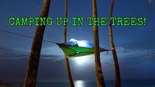 Tentsile Stingray Our First Tree Tent Camping Experience [upl. by Alaek]