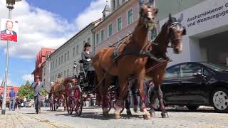 Ascania Pferdefestival 2017 Kutschenkorso [upl. by Jedd]