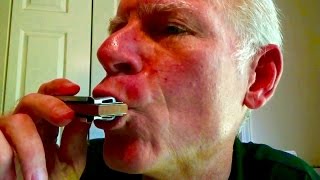 Learn Blues Harmonica 101 the essential lesson for beginners [upl. by Mcfarland]