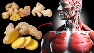 What Happens To Your Body When You Eat Ginger Everyday [upl. by Bahr311]