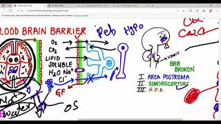 Glial Cells Part1 Astrocytes and Satellite cells  Neurology First Aid Lectures  Lec7 [upl. by Dnumde]