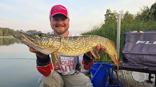 43kg Brekša vietā 4320kg līdaka Kārtējais Jaunais ezers un mēģinājums tikt pie 4kg  Brekša [upl. by Florida]