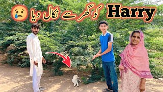 Harry Ko Ghar Sy Nikal Diya😢🥺mubashir munawar vlogsmintoo ka bhaimintoo family vlogs [upl. by Plante]