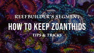 Zoanthids  How to Keep and Growing using Tips and Tricks Reefbuilders Video Segment [upl. by Eimmak102]