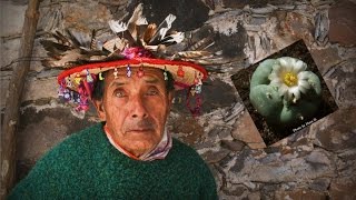 Peyote Last of The Medicine Men  Huichol People of Mexico [upl. by Jefferey]